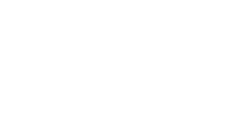 The Steer longhorn logo